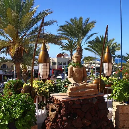 Apartment Playaflor Chill Out A 50 Mtrs De La Playa (adults Only)
