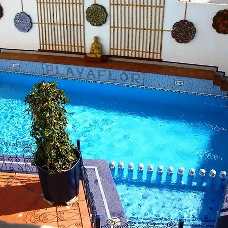 Apartment Playaflor Chill Out A 50 Mtrs De La Playa (adults Only) *