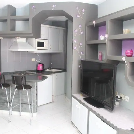 Apartment Playaflor Chill Out A 50 Mtrs De La Playa (adults Only) Playa de las Americas (Tenerife)